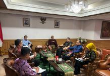 Audiensi Kepala BKN dengan Sekretaris Mendukbangga: Perkuat Manajemen Talenta dan Sinkronisasi Kebijakan Kepegawaian