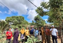 Kadis Pertanian Kendari Kunjungi Kebun Dasawisma di Kelurahan Pondambea, Dorong Pemanfaatan Lahan Pekarangan