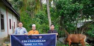 Sambut Idul Adha 1447 H, Bank Sultra Salurkan CSR 23 Ekor Sapi Kurban ke Seluruh Wilayah Sulawesi Tenggara