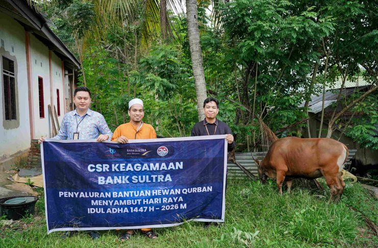 Sambut Idul Adha 1447 H, Bank Sultra Salurkan CSR 23 Ekor Sapi Kurban ke Seluruh Wilayah Sulawesi Tenggara