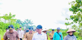Wagub Sultra dan Mentan Tinjau Langsung Lokasi Banjir, Pastikan Penanganan Cepat bagi Masyarakat