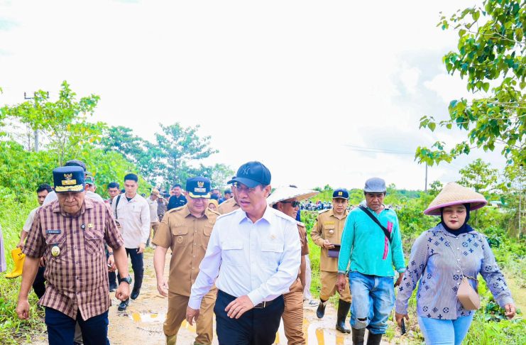 Wagub Sultra dan Mentan Tinjau Langsung Lokasi Banjir, Pastikan Penanganan Cepat bagi Masyarakat
