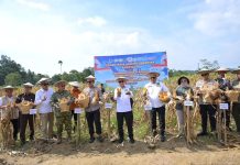 Panen Raya Jagung Kuartal II di Kendari, Pemprov Sultra Perkuat Dukungan bagi Kelompok Tani