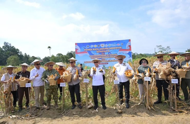 Panen Raya Jagung Kuartal II di Kendari, Pemprov Sultra Perkuat Dukungan bagi Kelompok Tani