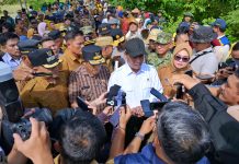 Mentan RI dan Wagub Sultra Tinjau Sawah Amohalo Terdampak Banjir, Bantuan Dipercepat