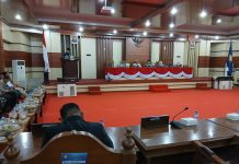 6 Langkah Pemprov Sultra Genjot PAD dan Benahi Keuangan Daerah