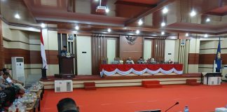 6 Langkah Pemprov Sultra Genjot PAD dan Benahi Keuangan Daerah