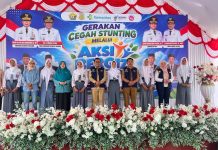 Pemprov Sultra Gencarkan Program Prioritas Kesehatan, Gelar Pencegahan Stunting di Pulau Buton