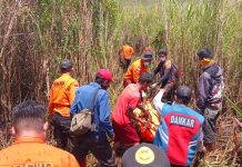 Lima Hari Dicari, Nasarudin Ditemukan Meninggal di Hutan Anggoro Konawe