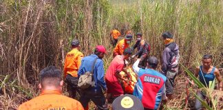 Lima Hari Dicari, Nasarudin Ditemukan Meninggal di Hutan Anggoro Konawe