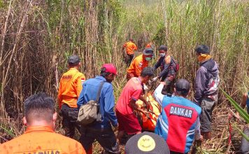 Lima Hari Dicari, Nasarudin Ditemukan Meninggal di Hutan Anggoro Konawe